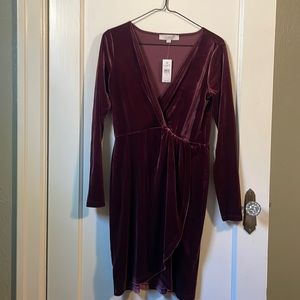 NWT Loft | purple crushed velvet dress